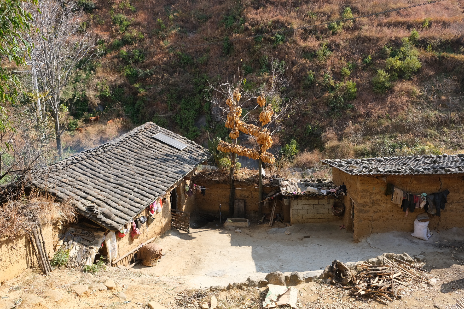 探访纪实,探访实录