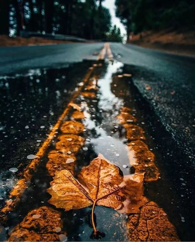 广东的秋天摄影,如何拍秋天风景照片