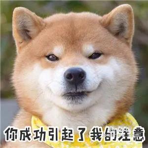 微信拍一拍拍自己对方会有提示吗,微信拍一拍怎么整改