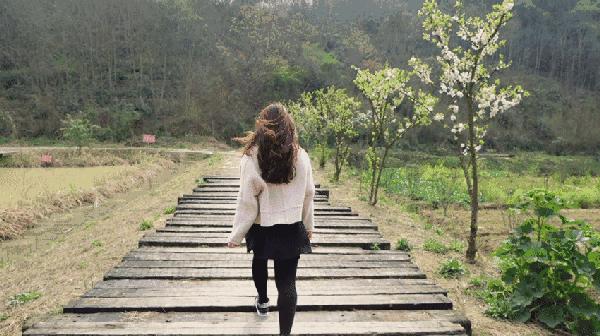 五一南京吃喝攻略,南京吃喝玩乐一天的攻略