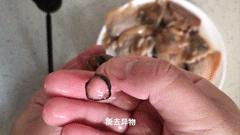 河蚌怎样处理炒着吃才好吃,买好的河蚌的正确处理方法