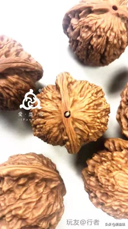 手串里有小白虫是什么虫子,手串上的虫子是哪来的