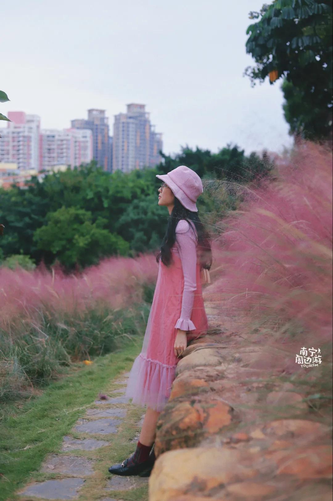 南宁花海公园在哪里,南宁嘉和城附近花海