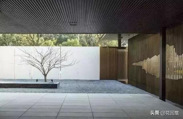 小小庭院,小小庭院满园春色