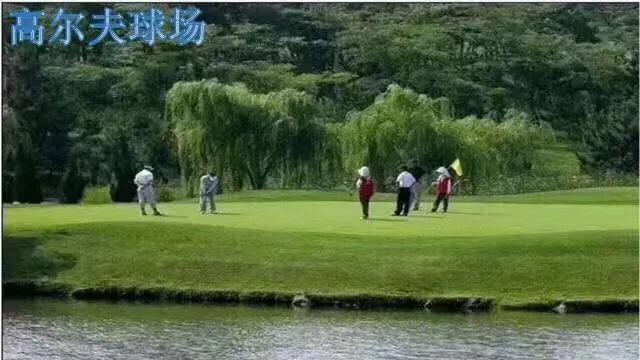 龙口高尔夫壹号海景房,山东龙口海景房价格表