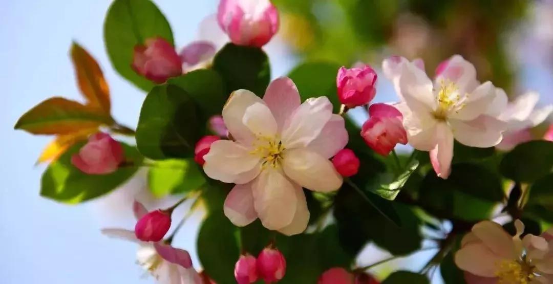 2020年唐山山叶口景点,等这一切过去