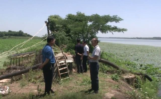 鱼塘里的不速之客,池塘来了入侵者