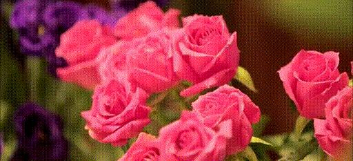 玫瑰疱疹是什么,长玫瑰痤疮怎么治疗