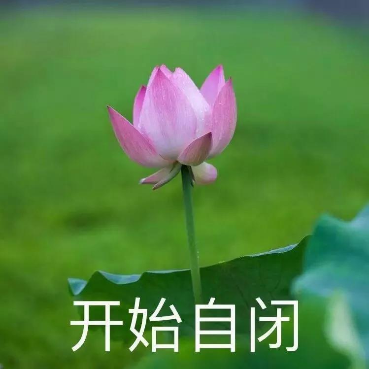 产后骨盆修复怎么自己锻炼,骨盆前倾产后骨盆修复