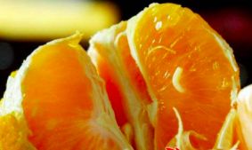 超级真菌来了致死率,超级真菌真的很可怕吗