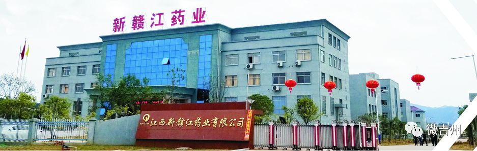 吉安十大企业名单,吉安市十大企业