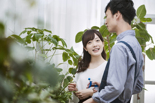 花店创业项目怎么做,推荐的花店创业项目有哪些