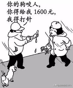 碰瓷漫画解说,碰瓷搞笑漫画完整版