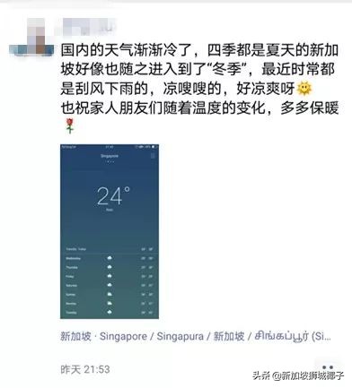 新加坡冻成狗,新加坡狂风暴雨来袭