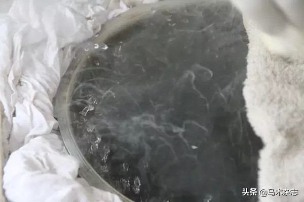 马身上的烙印图,马身上的记号怎么弄