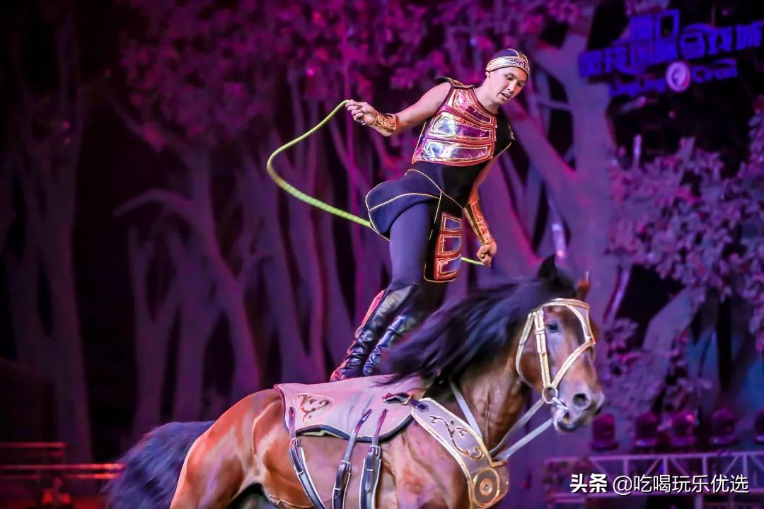 厦门灵玲动物王国大熊猫,厦门马戏团灵玲动物王国观光游览