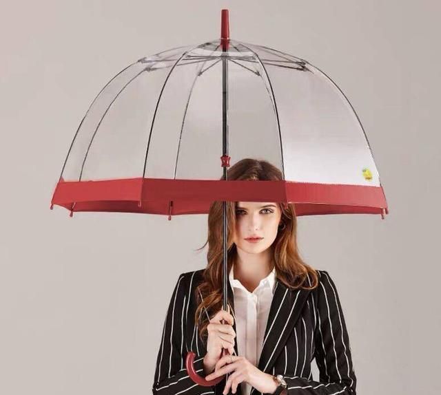 高端奢侈雨伞,哪些雨伞值得推荐