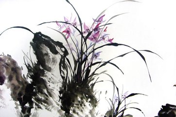 兰花十大名花排名及产地,详解十大名花兰花的特点