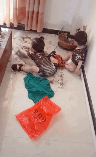 二胎家庭鄙视链图,生儿子好还是女儿好真实想法