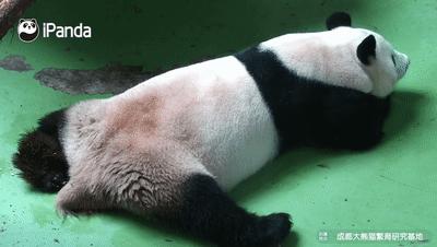 小米有品又出一爆款,小米8h沙发