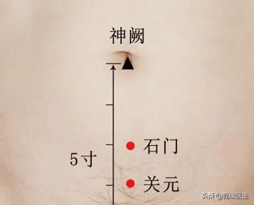 六脏六腑各有一募穴（二）