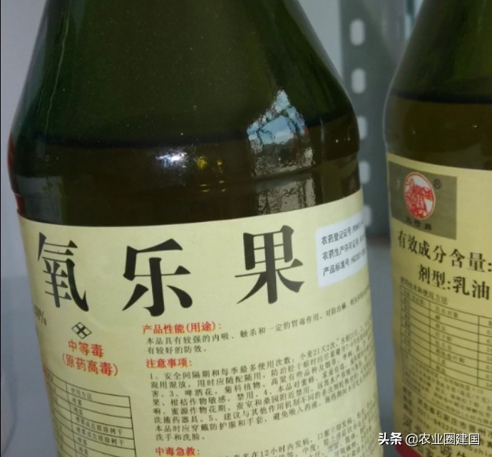 果蝇消灭干净小妙招没有洗洁精,果蝇太多怎么消灭最快最有效