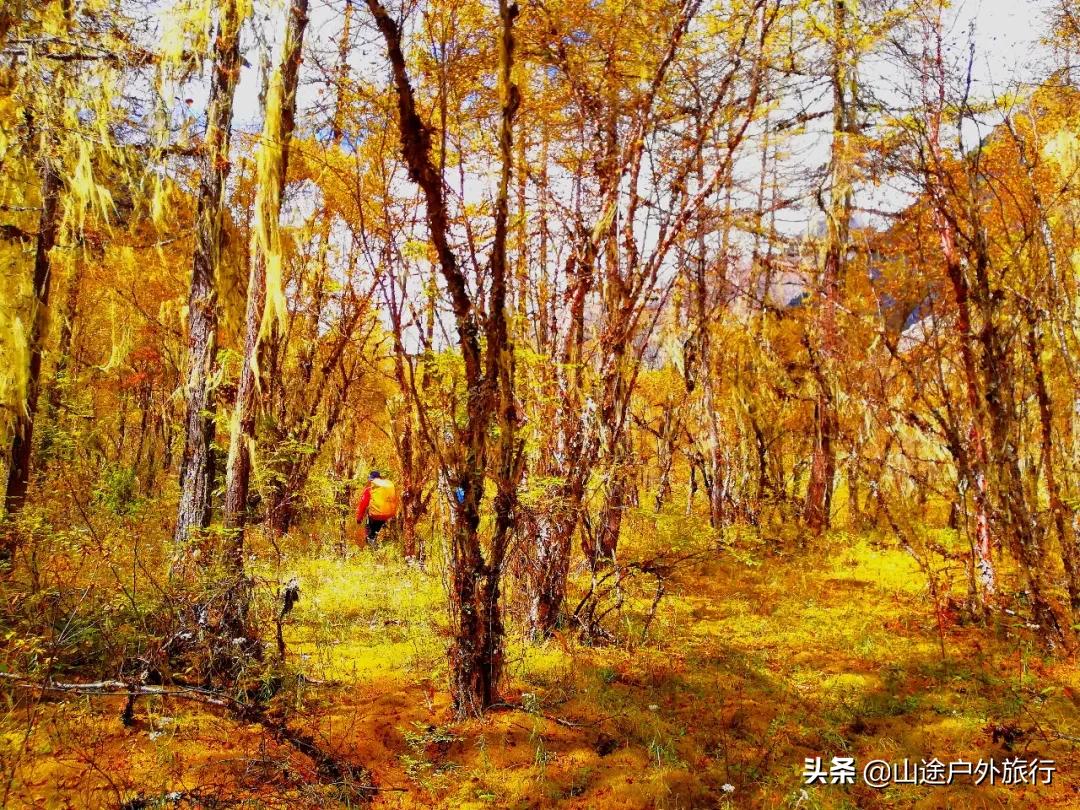 步步惊心的一天,步步惊心12剧情