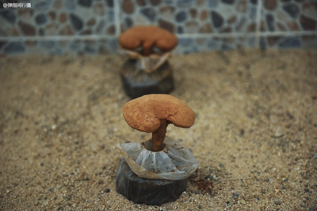 探索韶关秘境,粤北韶关风景