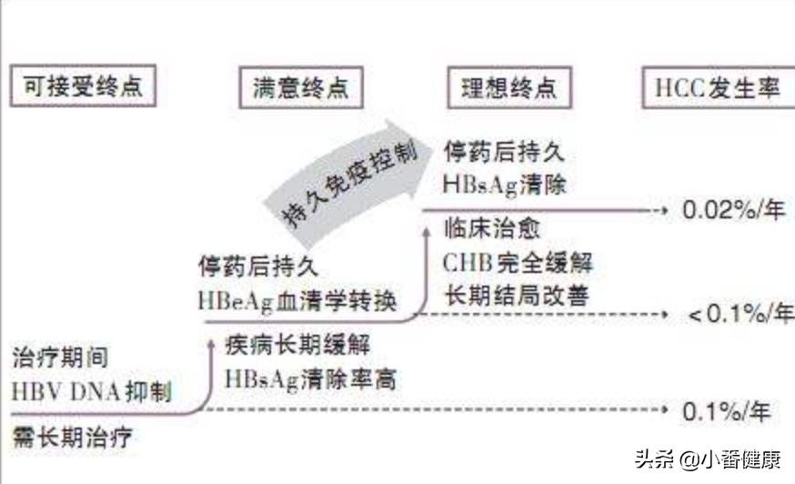 乙肝三个阶段需要注意什么,乙肝的三个治愈标准