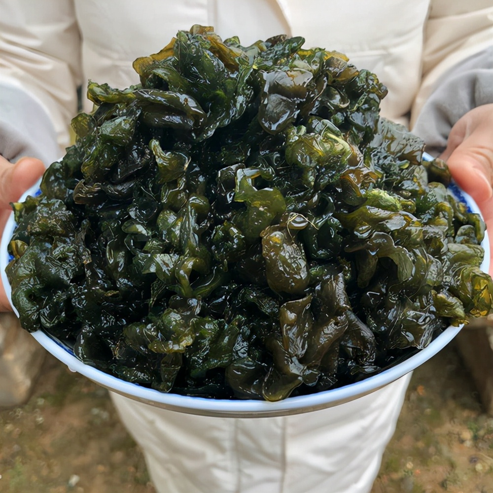 农村常吃的40种野菜你吃过几种呢,这10多种野菜你吃过哪些