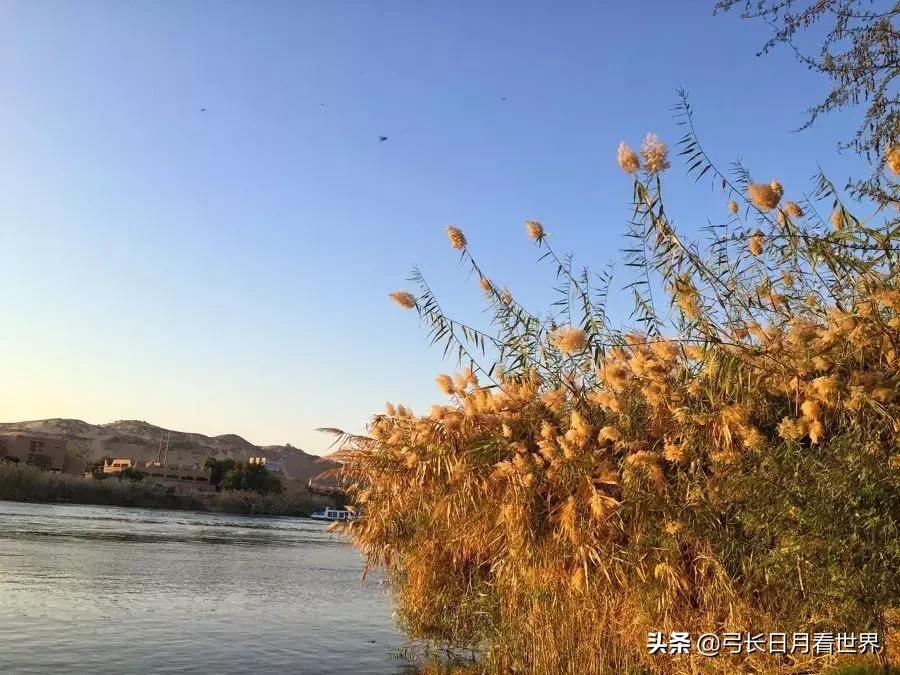 埃及最悲催的国家 (埃及都被哪七个国家征服过)