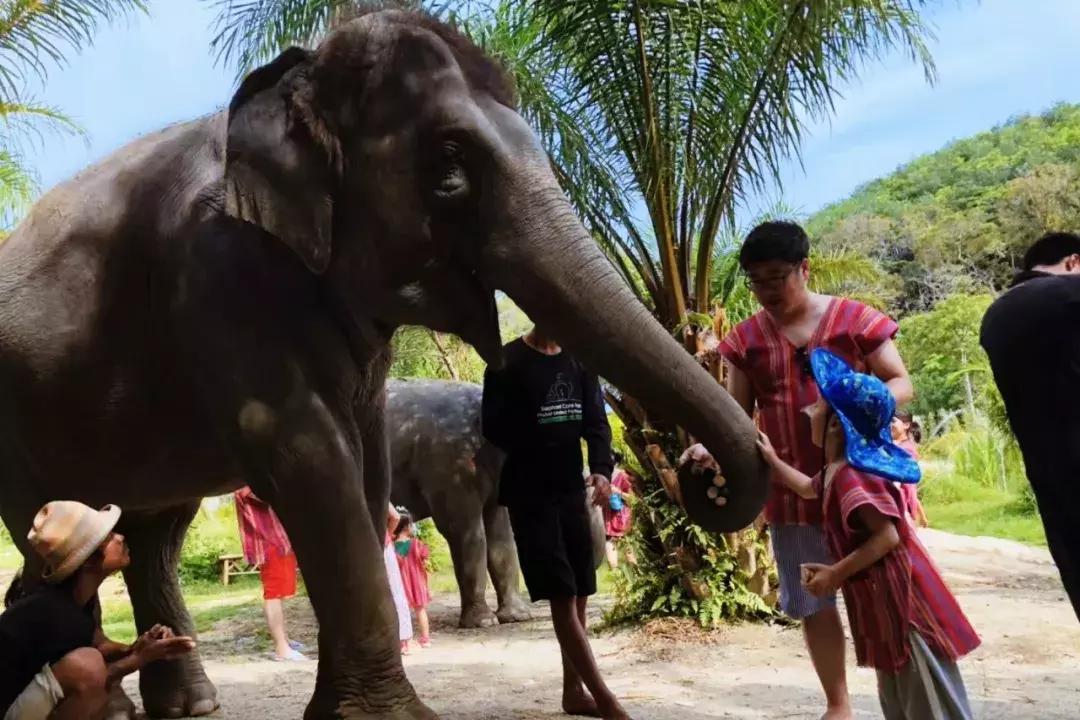 普吉岛雨天游玩攻略视频,普吉岛旅游帆船3天2晚