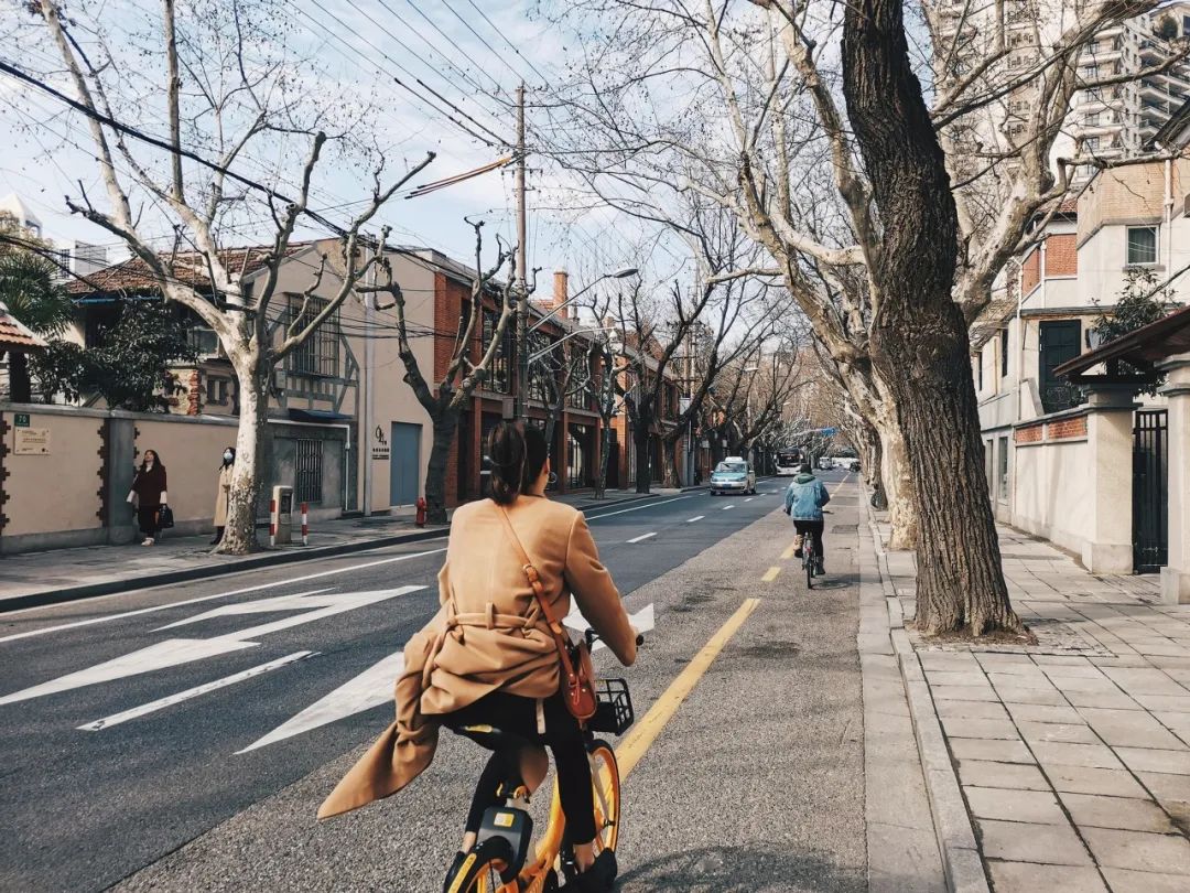 上海必逛的十条马路,上海比较有名的小马路