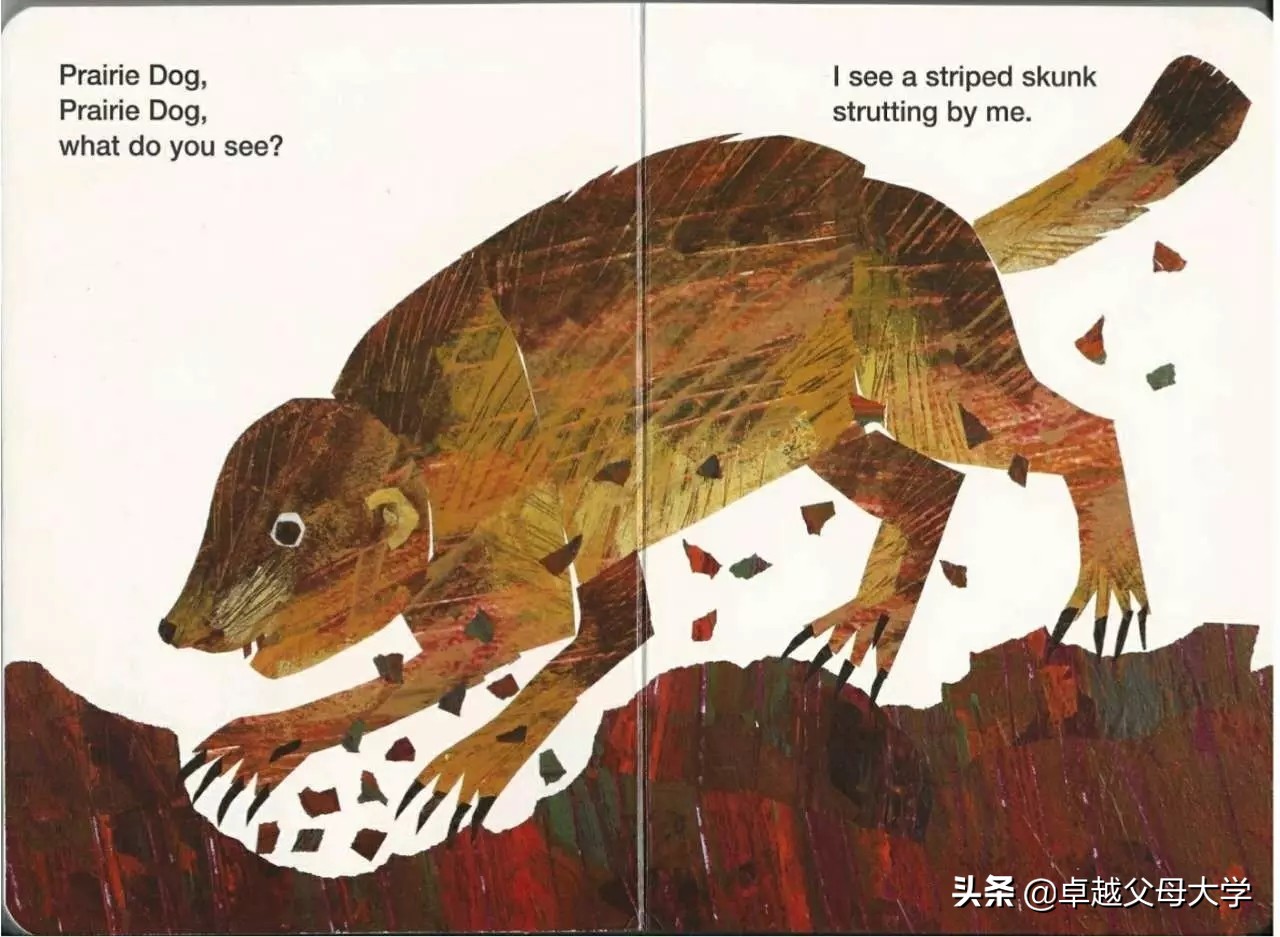 babybear英文绘本,babybearwhatdoyousee绘本