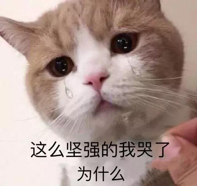 猫德动物医院治猫瘟,福懋动物医院好不好