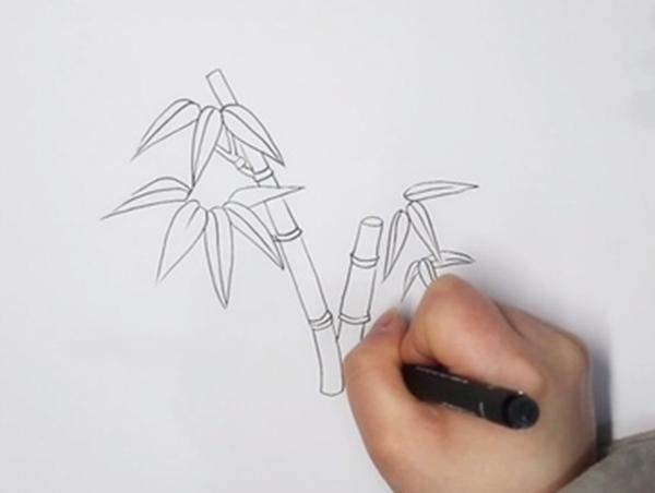 简单的植物简笔画怎么画,竹子竹笋简笔画好看又简单