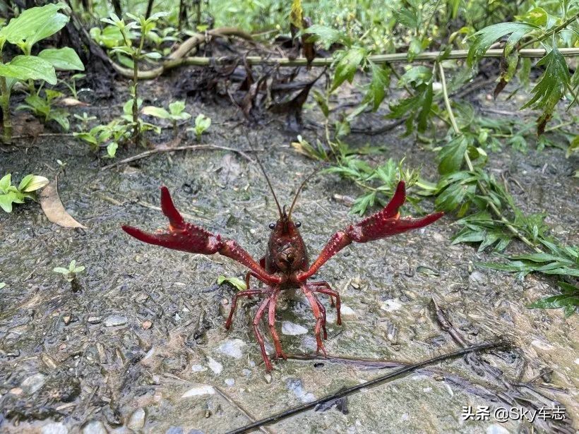 7天3000公里,宝马x57000公里发现烧机油