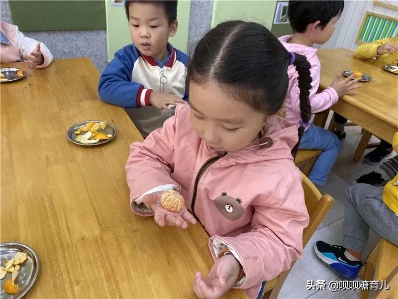 小班课程故事《好吃的桔子》