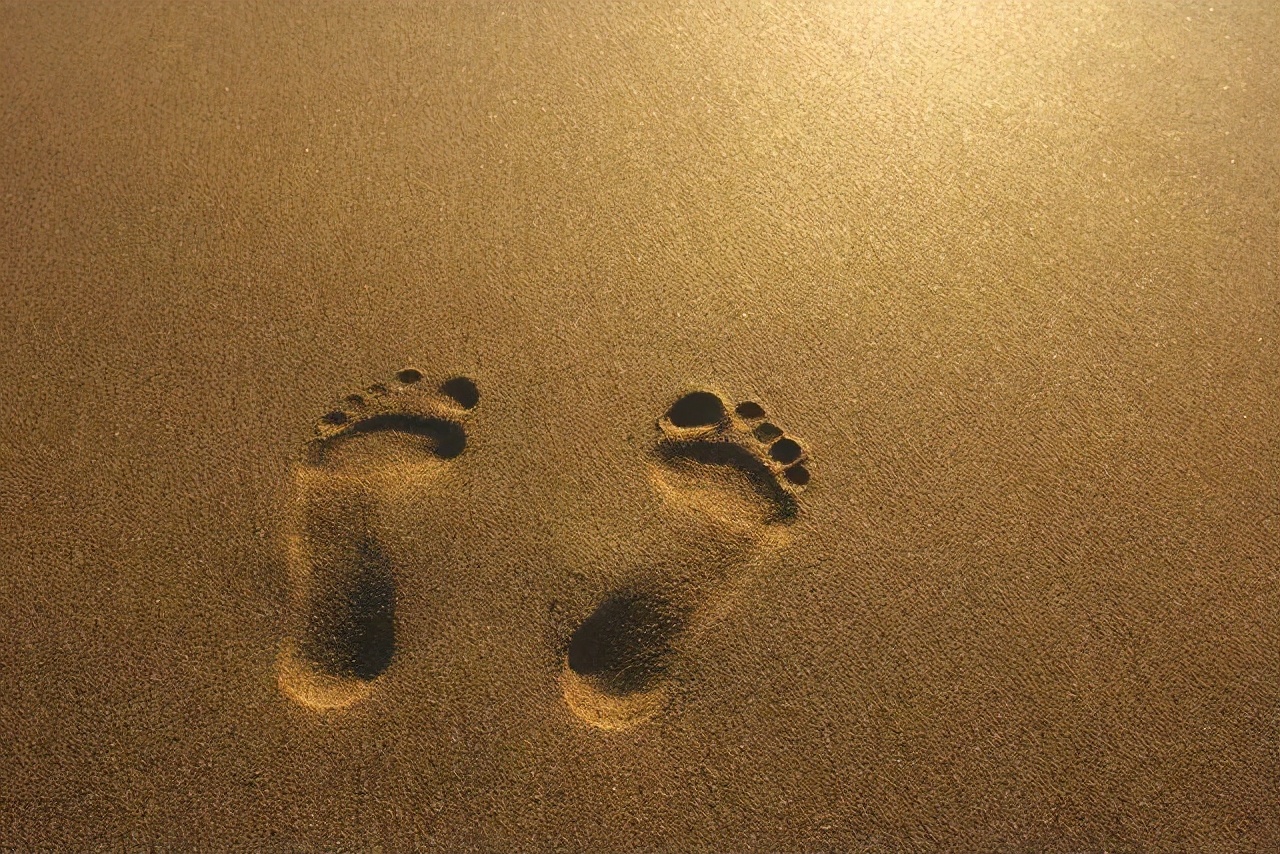 如何更好的活着哲学,如何更好的活下去