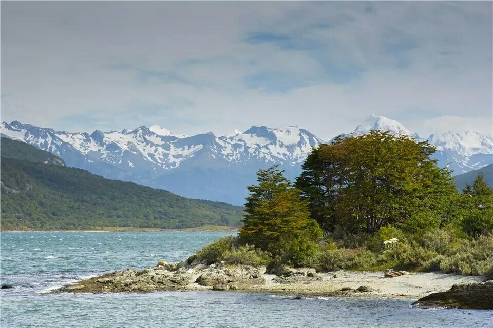 g20阿根廷峰会各国领导入场,阿根廷g20峰会各国领导抵达现场