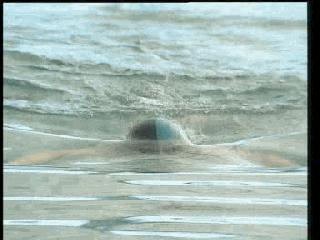 蛙泳的六大腿部错误纠正,儿童蛙泳腿部全套慢动作教学视频