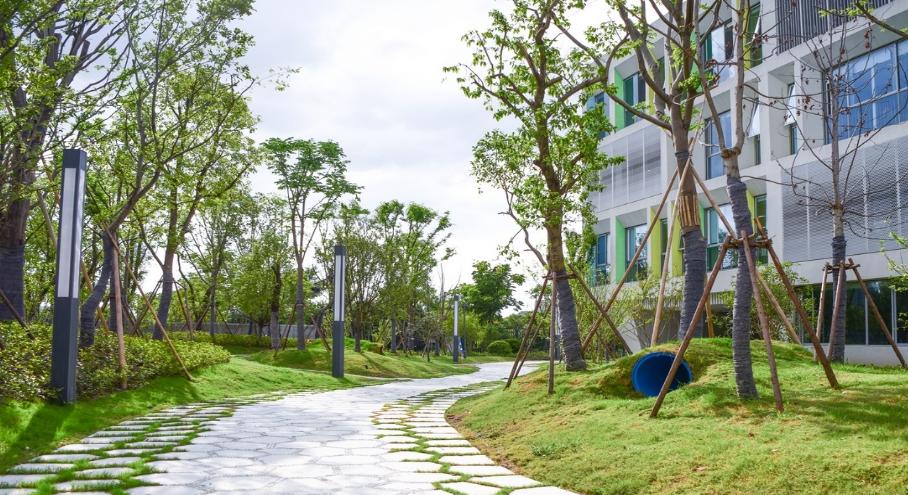 萧山区民办小学,2020年萧山新华学校公办民办