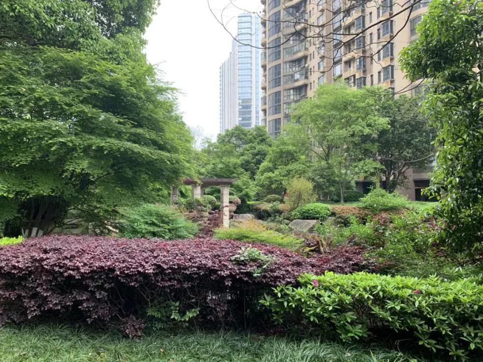 老城中的“奇葩”！这个经典盘的价值有没有被低估？