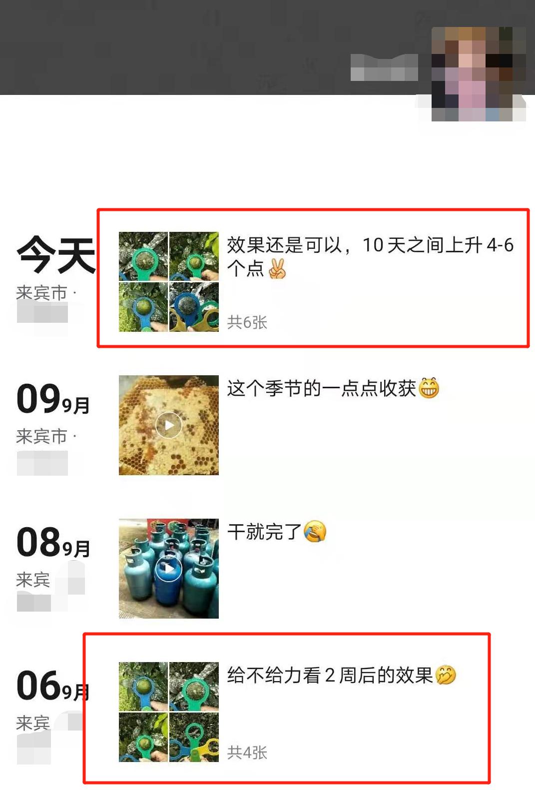柑橘膨果最需要哪几种元素,柑橘大小果有办法补救吗
