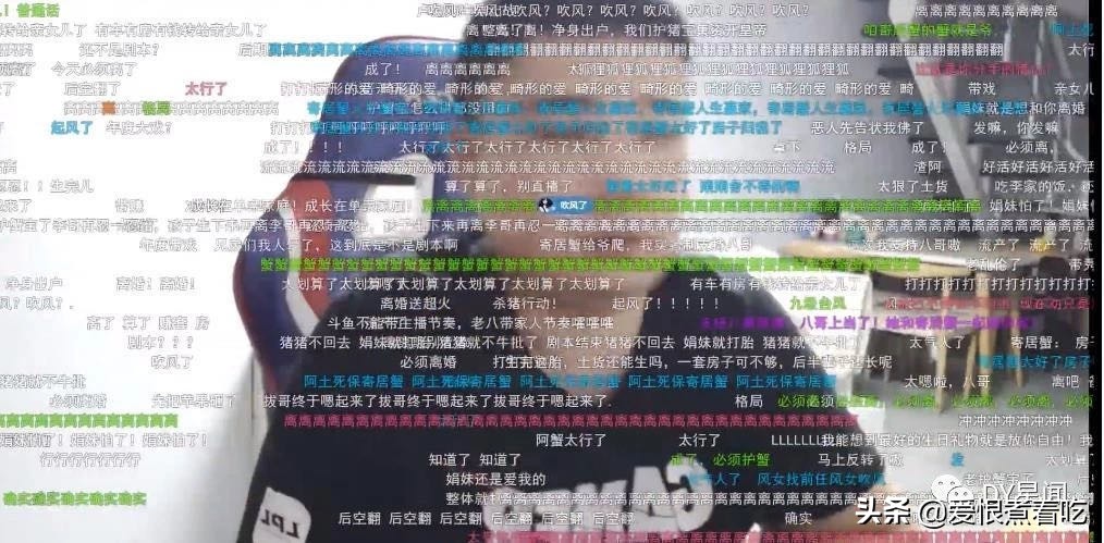 狗粉丝轻喷——懂哥李老八