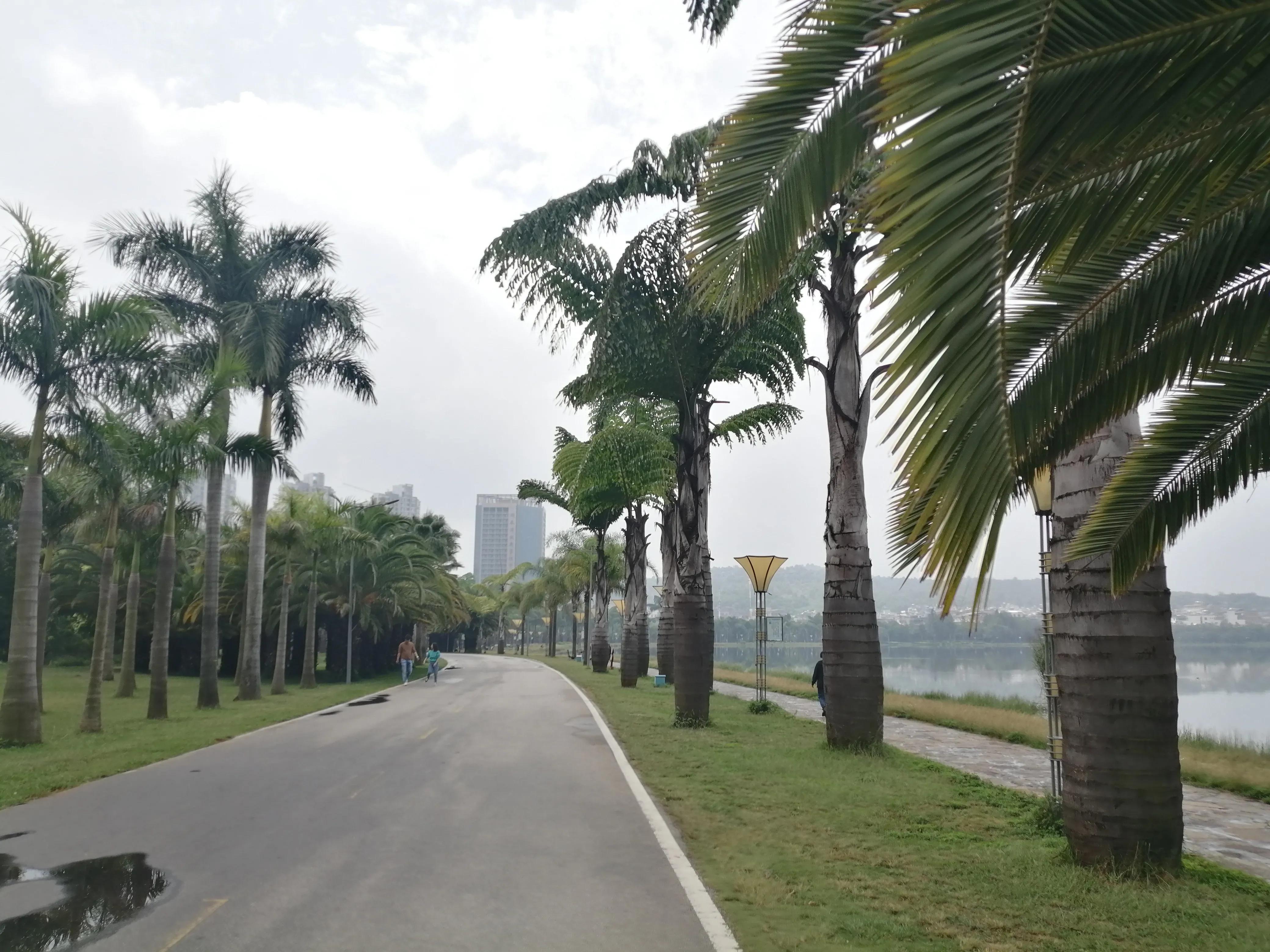 云南弥勒康养旅居包月,云南弥勒市60元包吃住宾馆酒店