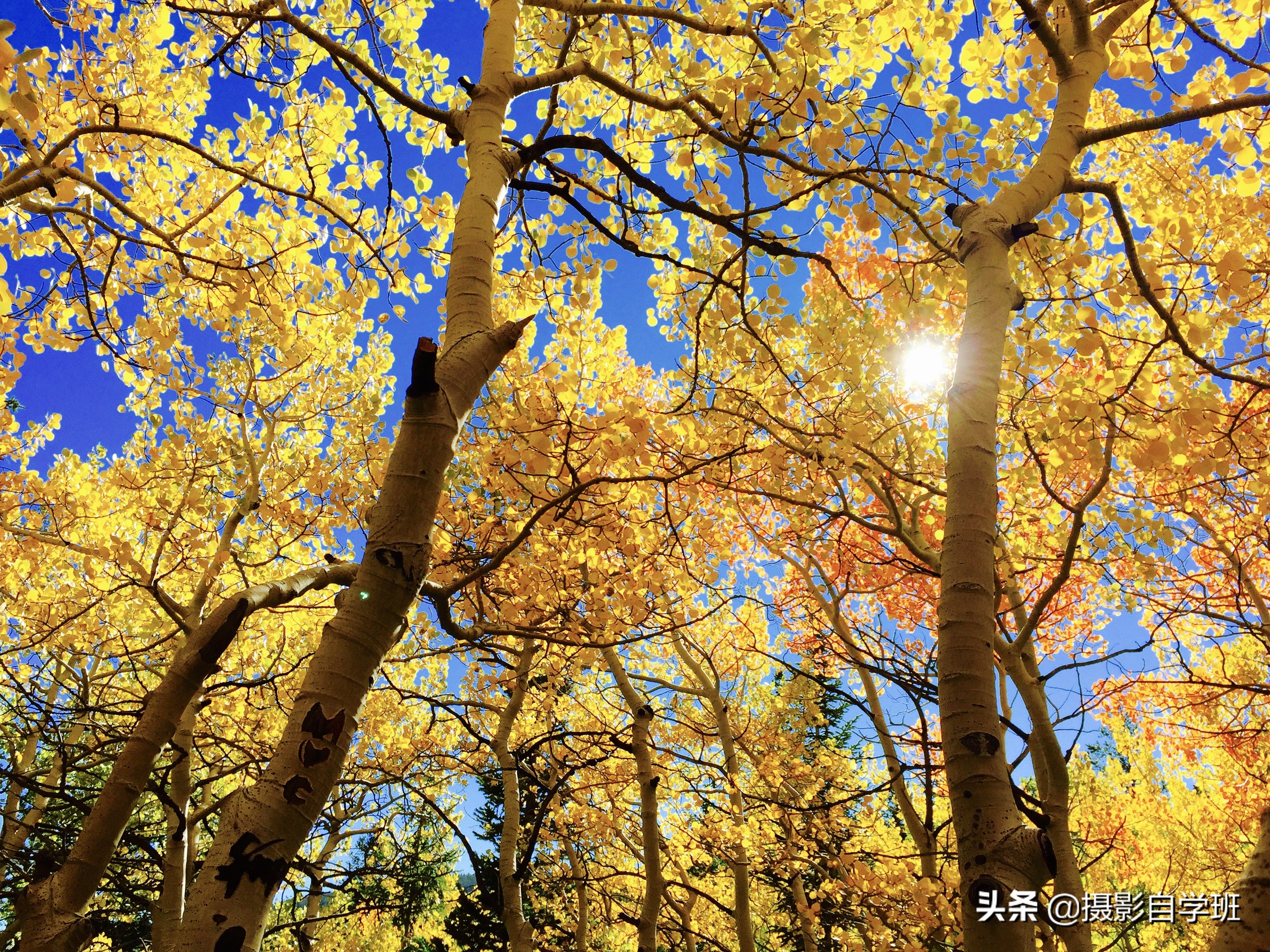 拍风景然后自拍怎么拍好看,值得拥有拍风景的10个摄影技巧