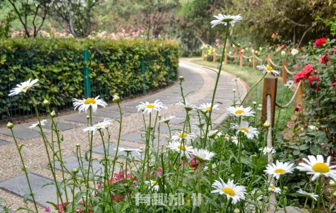 郑州地铁5号线沿线美景,郑州地铁5号线景点适合3月打卡地