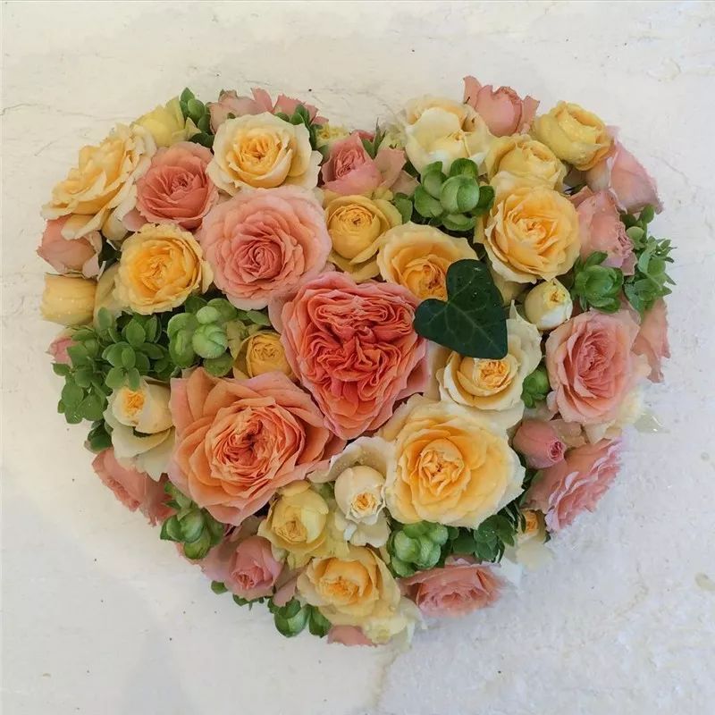 2019真实鲜花图片,2023鲜花爆款图文