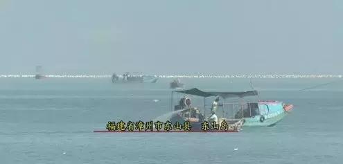 加一点盐，减一点盐，都能挣钱